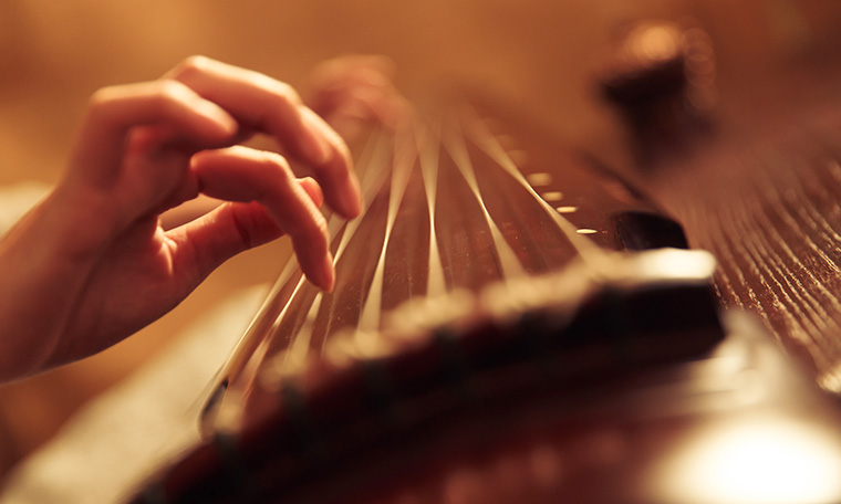 网上老年大学乐器教学