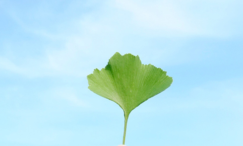 网上老年大学健康学院