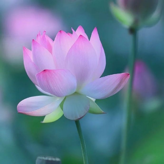 8ded4bb732a32d2c803d40c9de8d4c8c