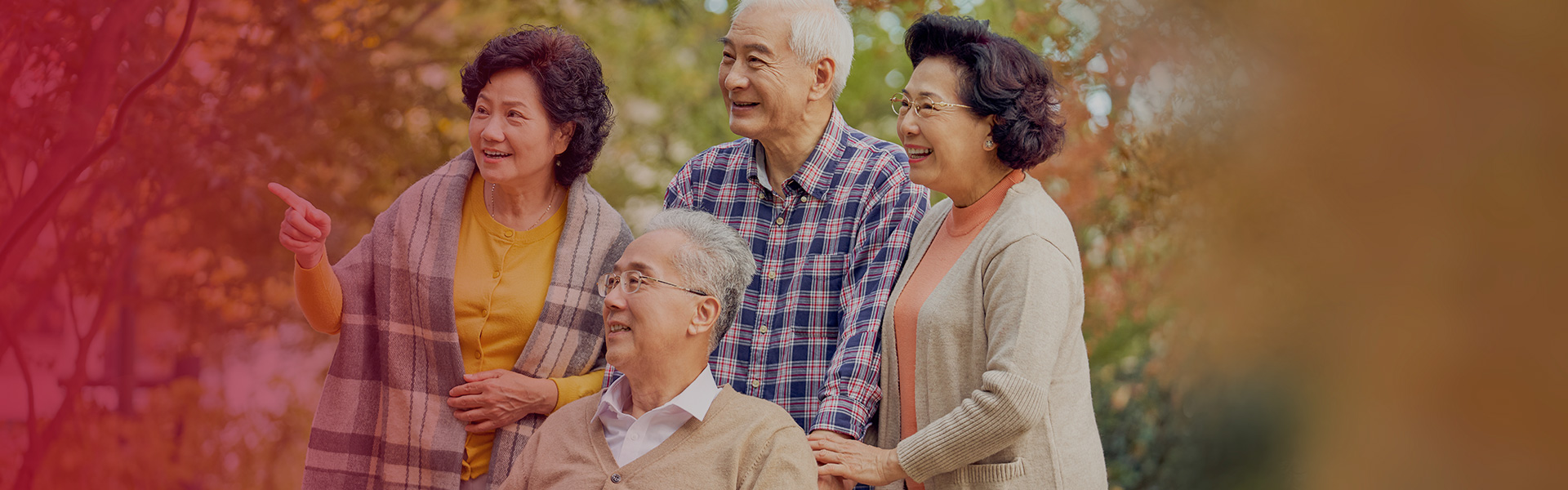 网上老年大学金龄课堂