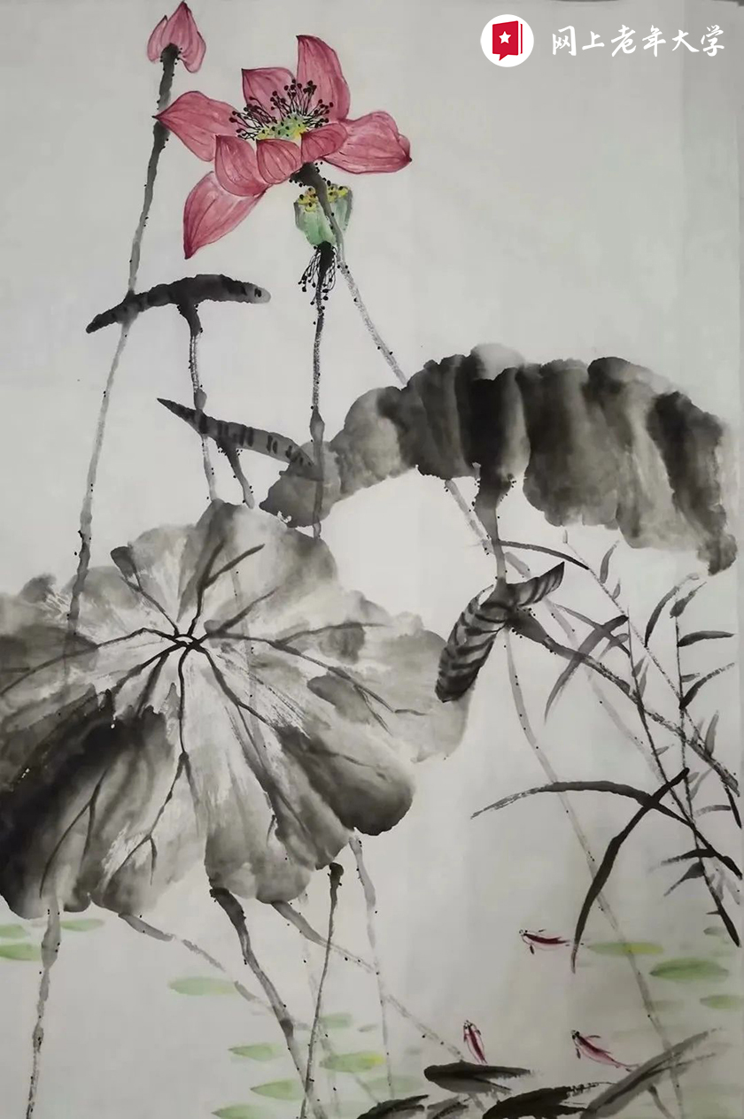 成人零基础学画画