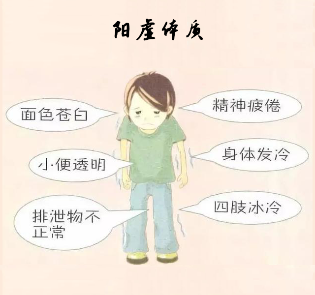 阳虚体质冬季养生方法