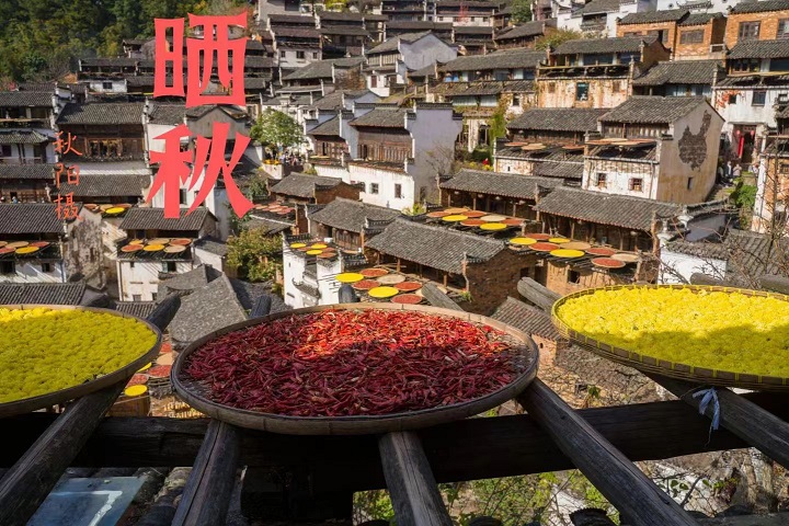老年人学摄影的好处