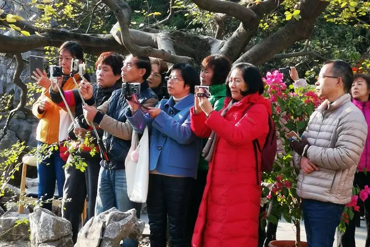 中老年人学摄影的好处