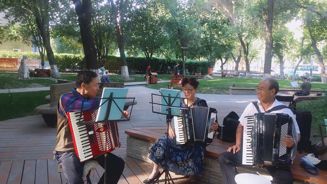 网上老年大学手风琴课程