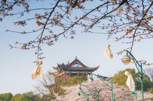 老年人春天适合旅游的地方