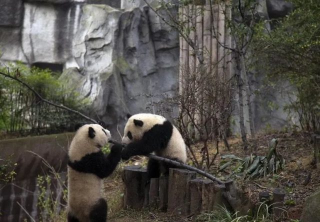 春天旅游攻略
