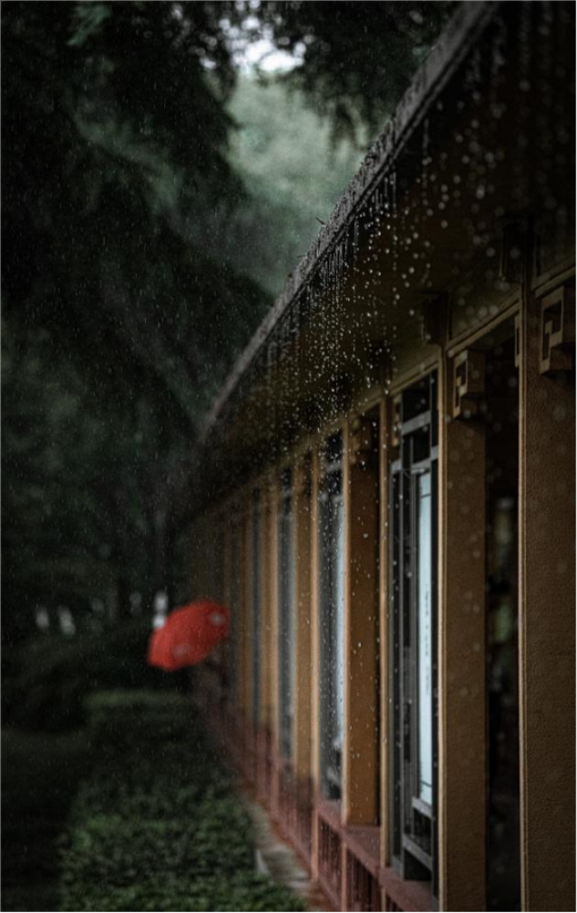 雨天手机拍摄技巧