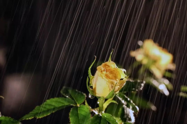 怎么拍出雨线的效果