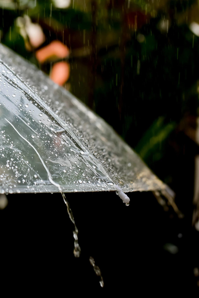 雨的光斑拍摄技巧