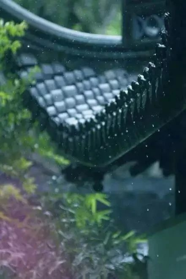 拍摄雨滴的构图技巧
