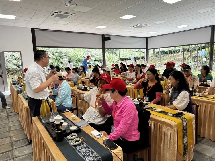 金龄游学T三有机茶园首发团